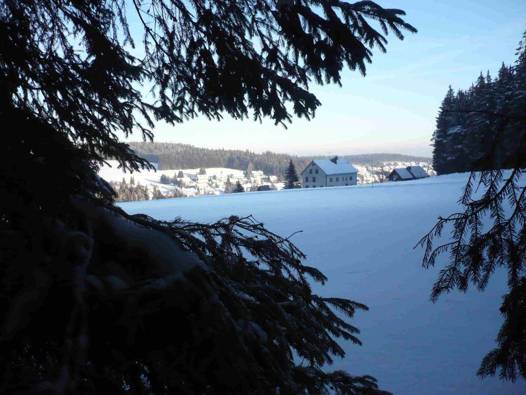 Hohengasthof Lowen - Escheck โชนวัลด์ ภายนอก รูปภาพ